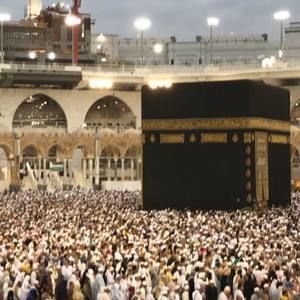 Meet your Posher, Wahida